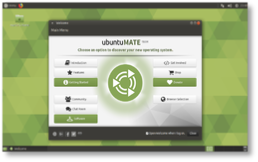 Zoom Ubuntu Mate